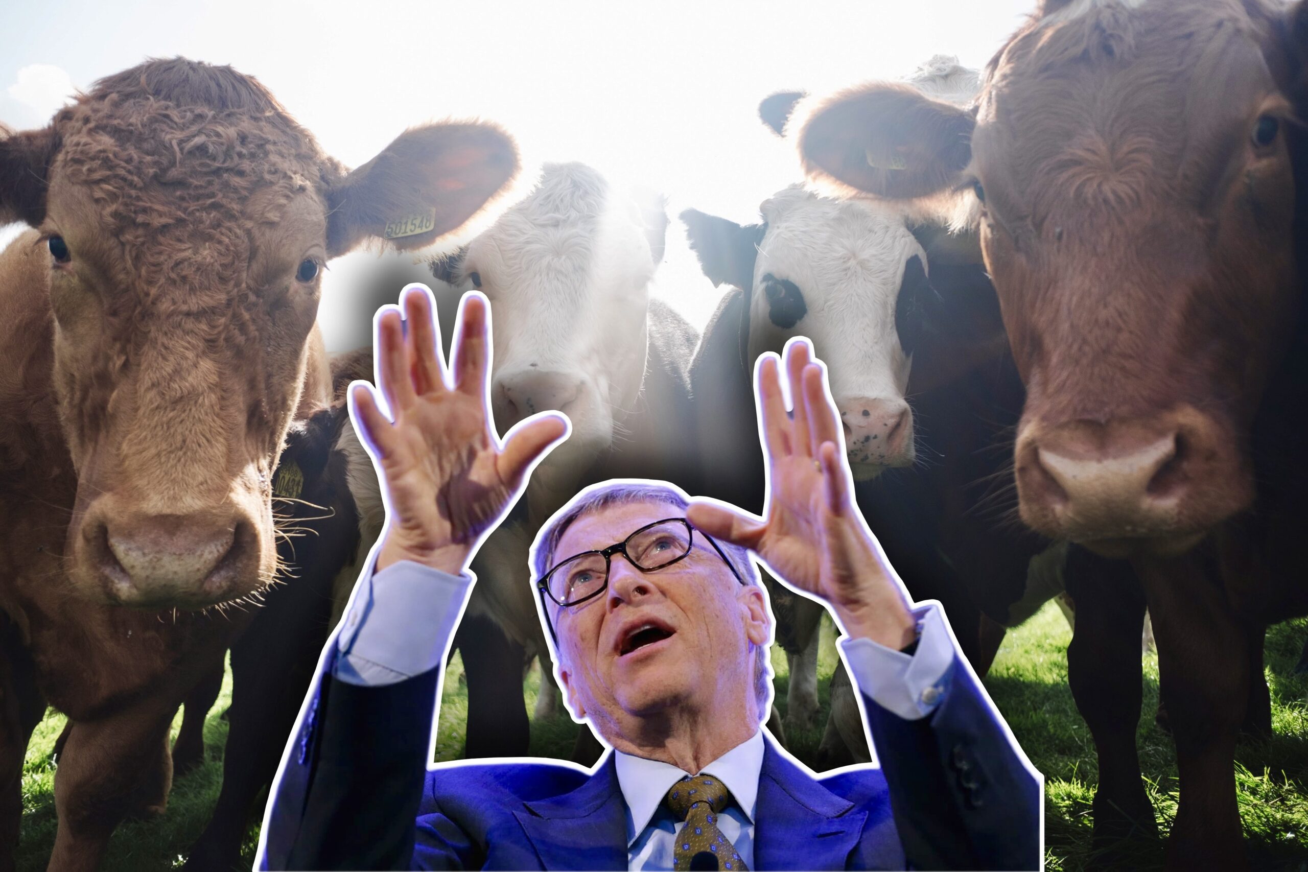 «Bill Gates Quiere Una Vacuna Para Detener los Pedos de las Vacas, Salvar al Planeta del Supuesto Cambio Climático» | The Gateway Pundit