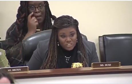 “A Despicable and False Attack” – Energy Expert Alex Epstein Owns Squad Member Cori Bush After She Hurls Racist Label at Him during During (VIDEO)