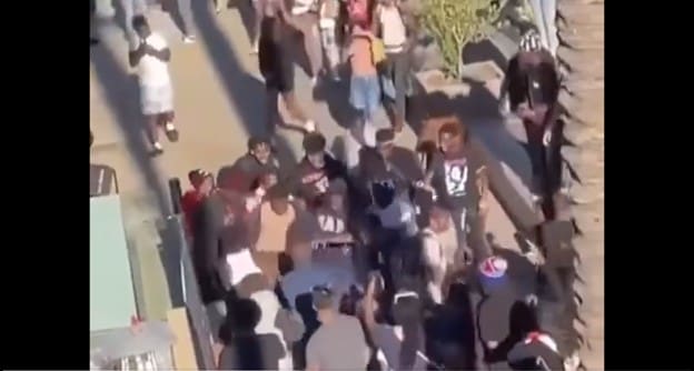 WATCH: Massive Youth Brawls Hit Two California Malls – Gunshots Ring Out During Altercations (VIDEOS)