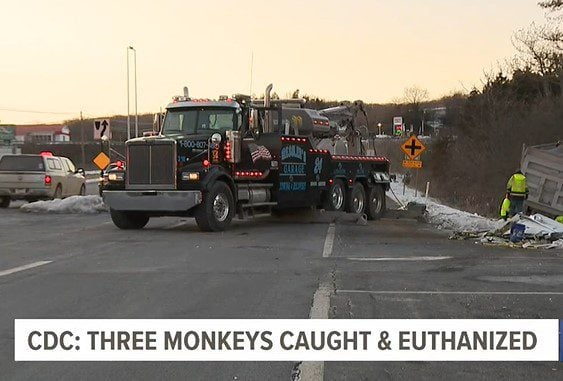 CDC Sends Out Letter Following Pennsylvania Crash Involving 100 Test Monkeys | The Gateway Pundit | by Jim Hoft