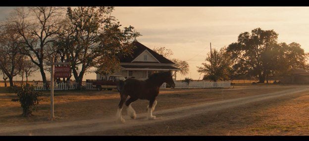 “Is the Horse Trans Now?” -Budweiser’s Attempt to Win Back Public Goes Horribly Wrong as Social Media Obliterates New Clydesdale Horse Ad in EPIC Fashion (VIDEO)