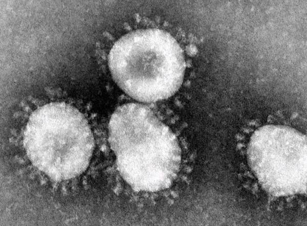 EXCLUSIVE: Three Reasons the China Coronavirus Incidence and Mortality Counts Reported by the CDC Are Likely Fraudulent | The Gateway Pundit | by Joe Hoft