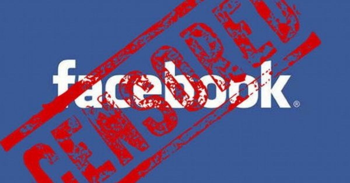 Group "Our Vote Matters" Is Suing Facebook, Dominion, Mark Zuckerberg, Certain State Officials, Others for Infringing Upon Right to Vote, Assemble and Speak Freely - You Can Join Too | The Gateway Pundit | by Joe Hoft