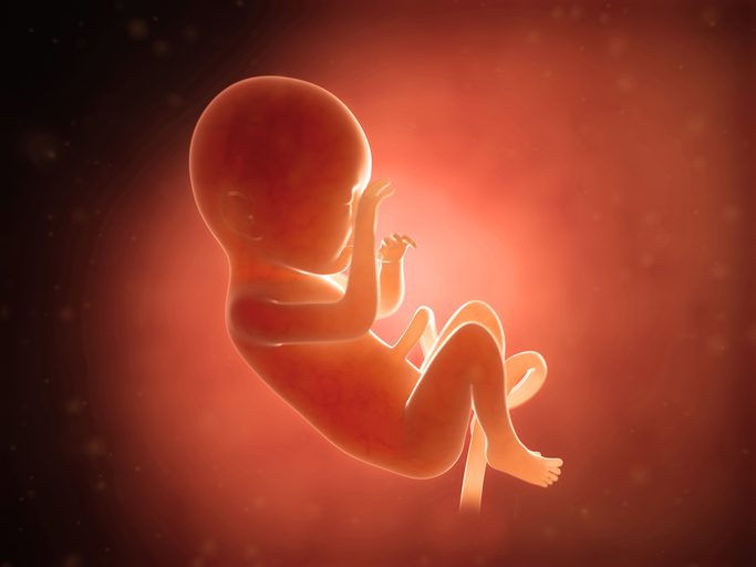 South Carolina Becomes 12th State to Limit Abortions After Heartbeat Detected – Effectively Banning Abortion After 6 Weeks of Pregnancy