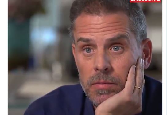 FBI Refuses to Provide Answers to Congressional Inquiries Related to Hunter Biden's Criminal Activities Revealed in Bombshell Senate Report | The Gateway Pundit | by Cristina Laila