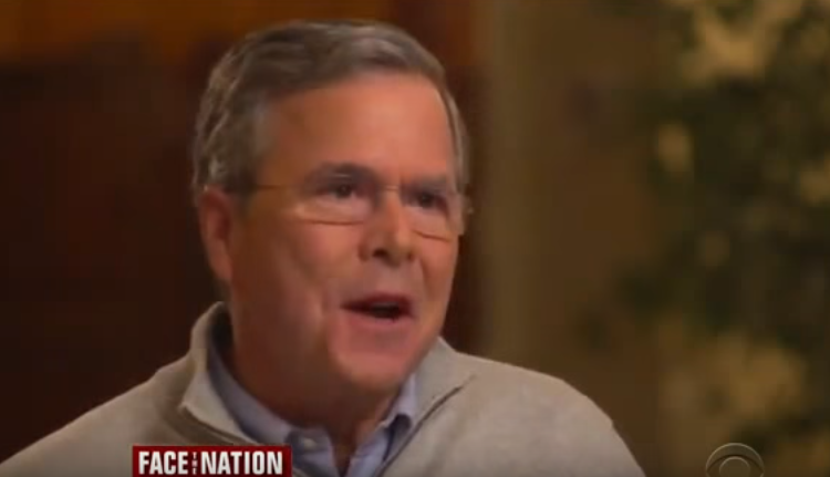 jeb bush polling