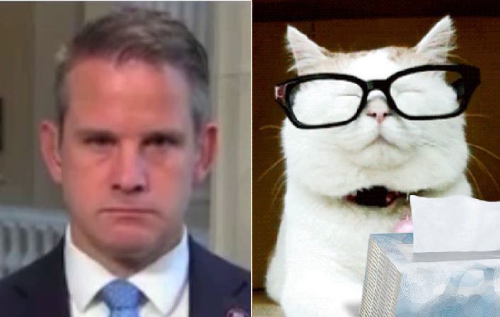 kinzinger-catturd2-2.jpg