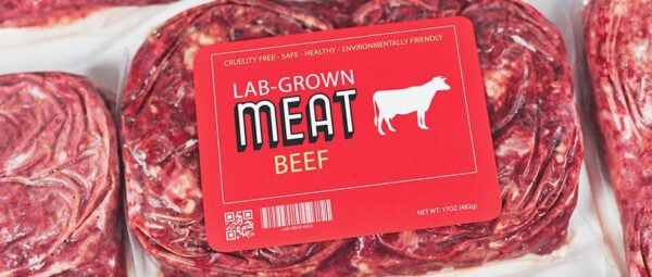 Global Food-Processing Giant Announces World’s Largest Lab-Grown Meat Facility to be Built in 2024