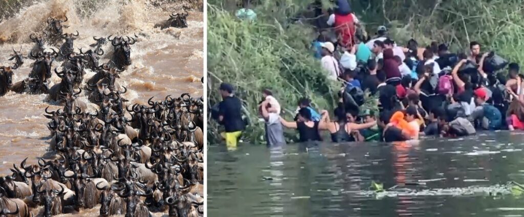 HERE COME THE ILLEGALS! Migrant Hordes Storm Across Rio Grande into US Like African Herd Animals as Title 42 Is Lifted (VIDEO)