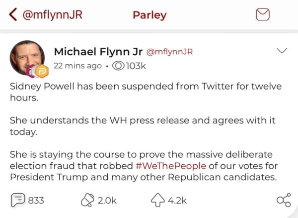 “Sidney Is Staying the Course to Prove the Massive Deliberate Election Fraud” – Attorney Sidney Powell Suspended by Twitter — Releases Statement and Signs Off #KrakenOnSteroids Mike-flynn-jr-released-a-statement-parler-powell-600x438