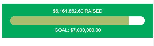 stein-recount-six-million
