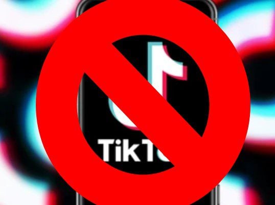 Senate Votes To Ban TikTok On Governmental Phones-Democrats and Liberal Media Admit Trump Was Right! | The Gateway Pundit | by Anthony Scott